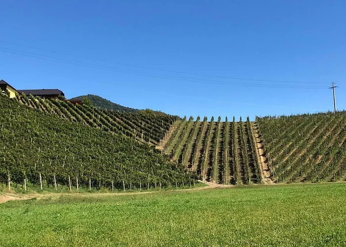 Vilapark 14 רוגאסקה סלאטינה